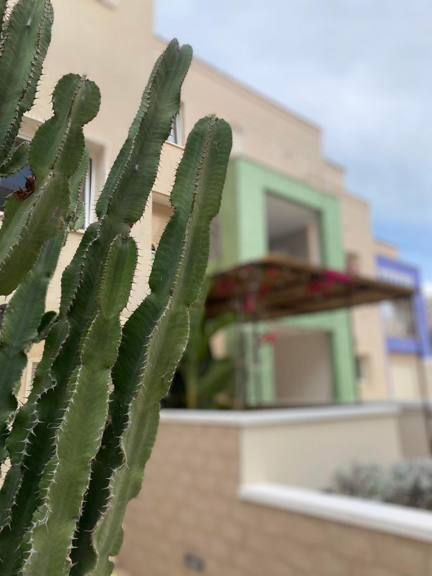 Bolina Luxury Suites Gallipoli Exteriér fotografie